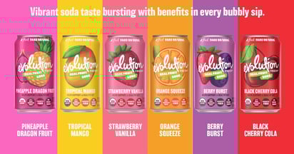 Vizer Velocity Evolution Fresh Real Fruit Soda