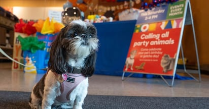 PetSmart Birthday and Gotcha Bash