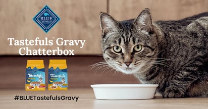Ripple Street Blue Buffalo Tastefuls Gravy Chat