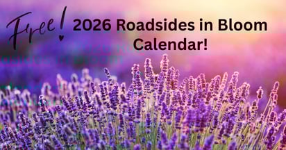 Roadsides in Bloom Calendar 2026
