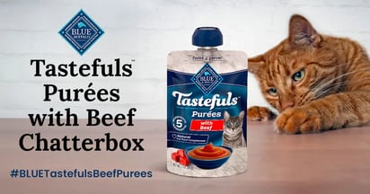 Ripple Street Blue Buffalo Tastefuls Purees with