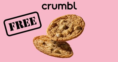 Crumbl Free Chocolate Chip Cookie Thins