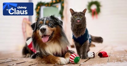 Chewy Claus Free Gift 2025