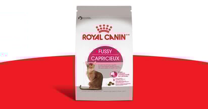 Ripple Street Royal Canin Fussy Adult Dry Cat