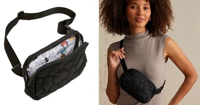 vera bradley disney bag