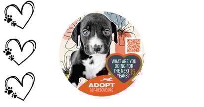 Gsp Rescue Puppy Sticker