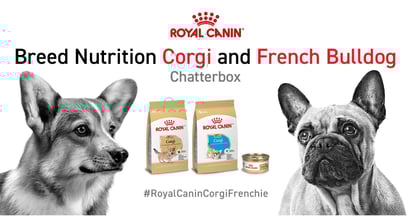 Ripple Street Royal Canin Breed Nutrition Chat
