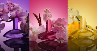 Social Calvin Klein Euphoria Elixir Collection