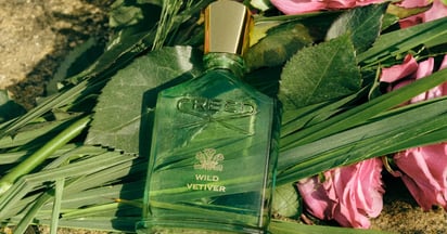 social Creed Wild Vetiver