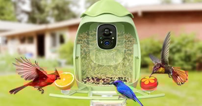 Smart Bird Feeder with Camera on Amazon