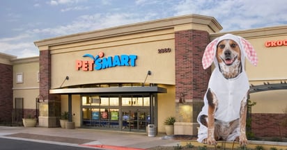 Petsmart Easter Party