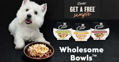 Cesar Wholesome Bowls Free sample