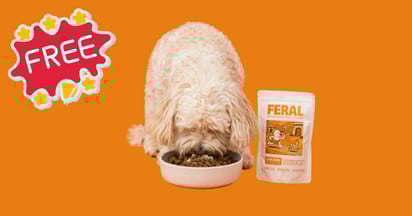 Feral Dog Multivitamin