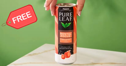 Zenivize Pure Leaf Mental Focus