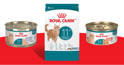 Ripple Street Royal Canin Feline Health Nutritio