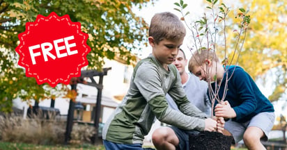 Free Tree from Claritin