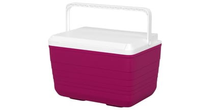 Sun Squad 10-Quart Hard Sided Cooler at Target