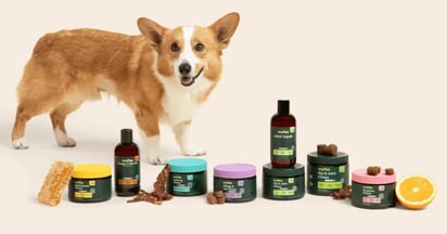 Wuffes Insiders Free Products