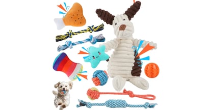 Home Tester Club Dog Toys