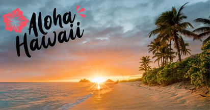 Malibu Dole Hawaii Sweepstakes
