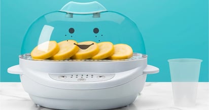 nutribullet Baby Turbo Food Steamer on Amazon