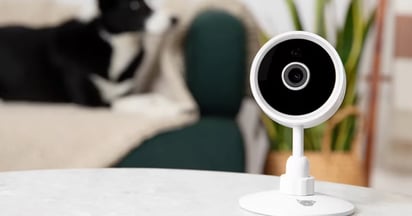 Mini HD Wi-Fi Pet Camera at Walmart