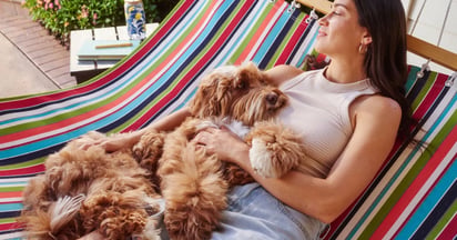 petco labor day sale