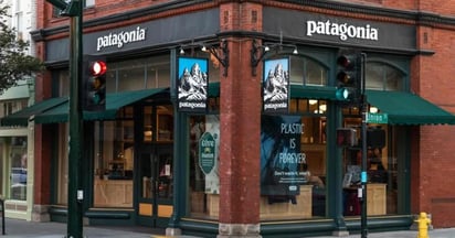 Patagonia Free Credit