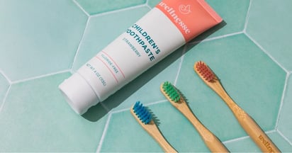 Wellnesse Bamboo Toothbrush