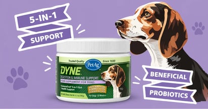 Social DYNE Digestion & Immune