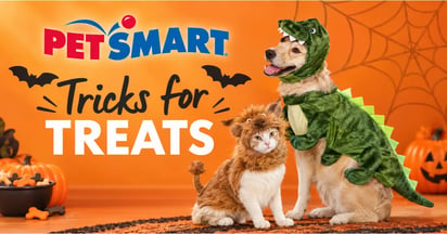 Petsmart Halloween