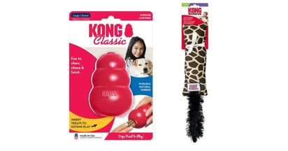 Kong Toy Free
