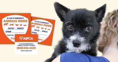 ASPCA Pet Safety Pack