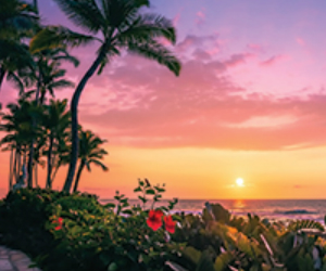 Veranda Hawaii