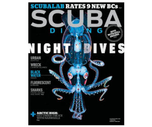 FREE Subscription to Scuba Div...