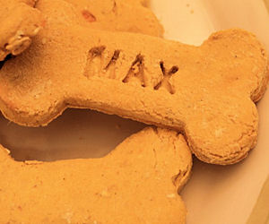 FREE Sample of Maxie Treats Na...