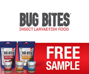 FREE Sample of Fluval Bug Bite...