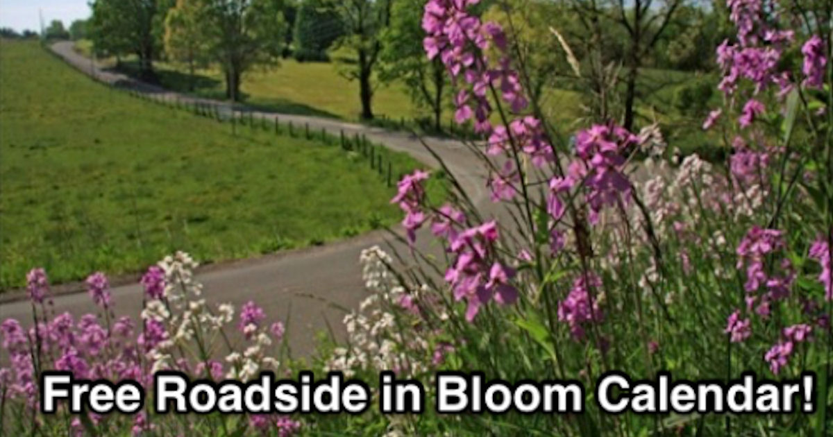 Roadsides in Bloom Calendar