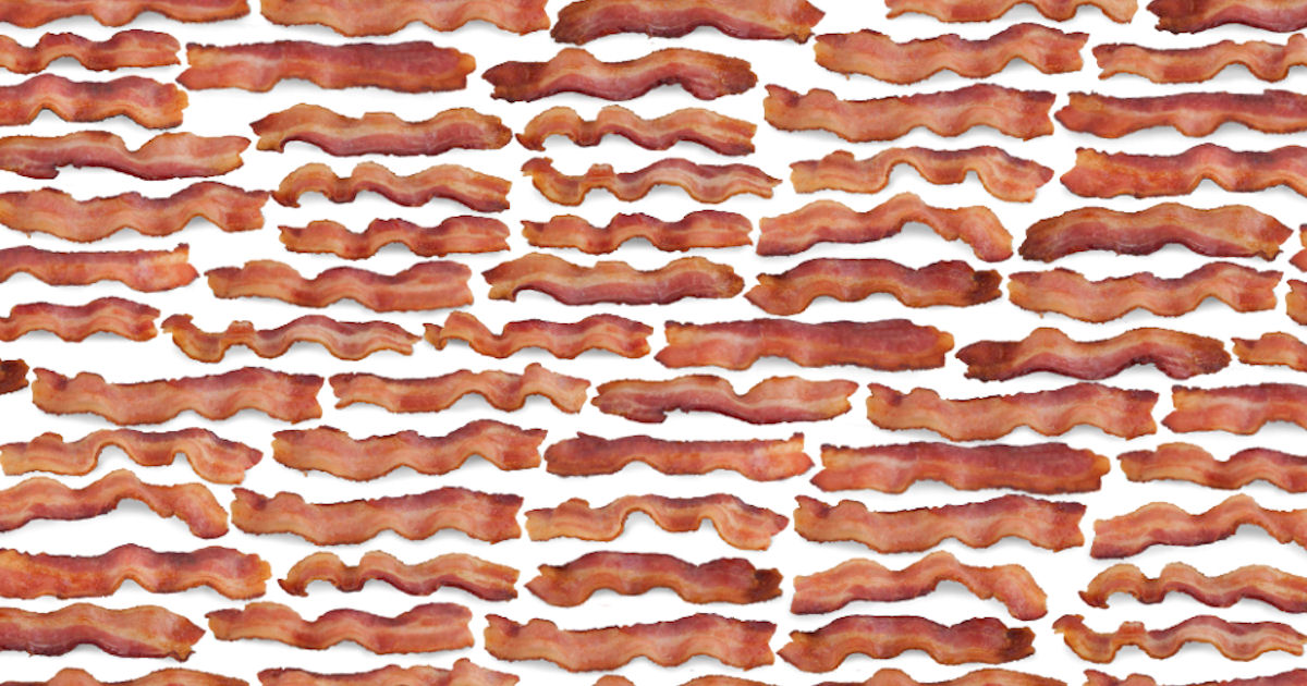 Free Bacon Themed Wrapping Paper - Free Product Samples