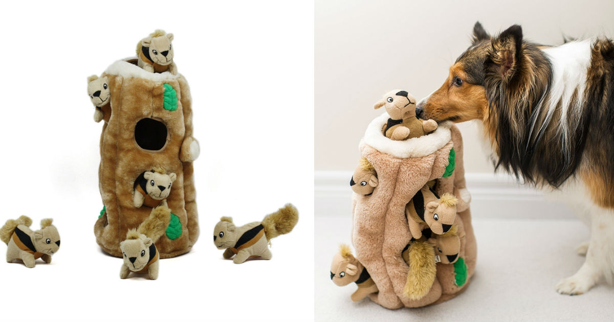 dog toy coupons