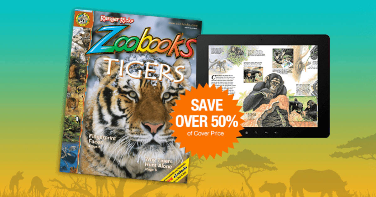 Zoobooks Magazine Subscription...