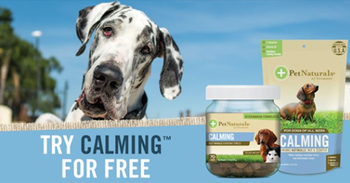 Free Sample of Pet Naturals of Vermont Calming Chew Free Product Samples