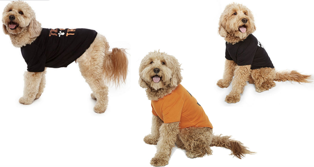 Halloween Dog Costumes ONLY $4.25 at JCPenney
