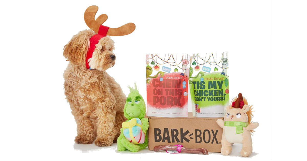 heady bear barkbox