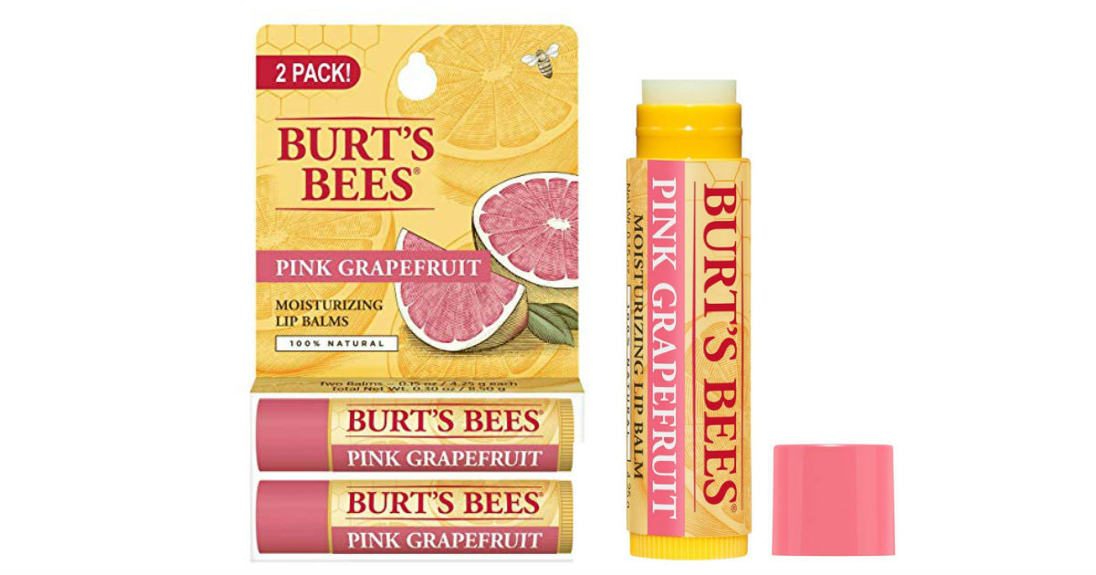 Burtâs Bees Moisturizing Lip Balm 2-Pack Only $2.99 (Reg $5.79)