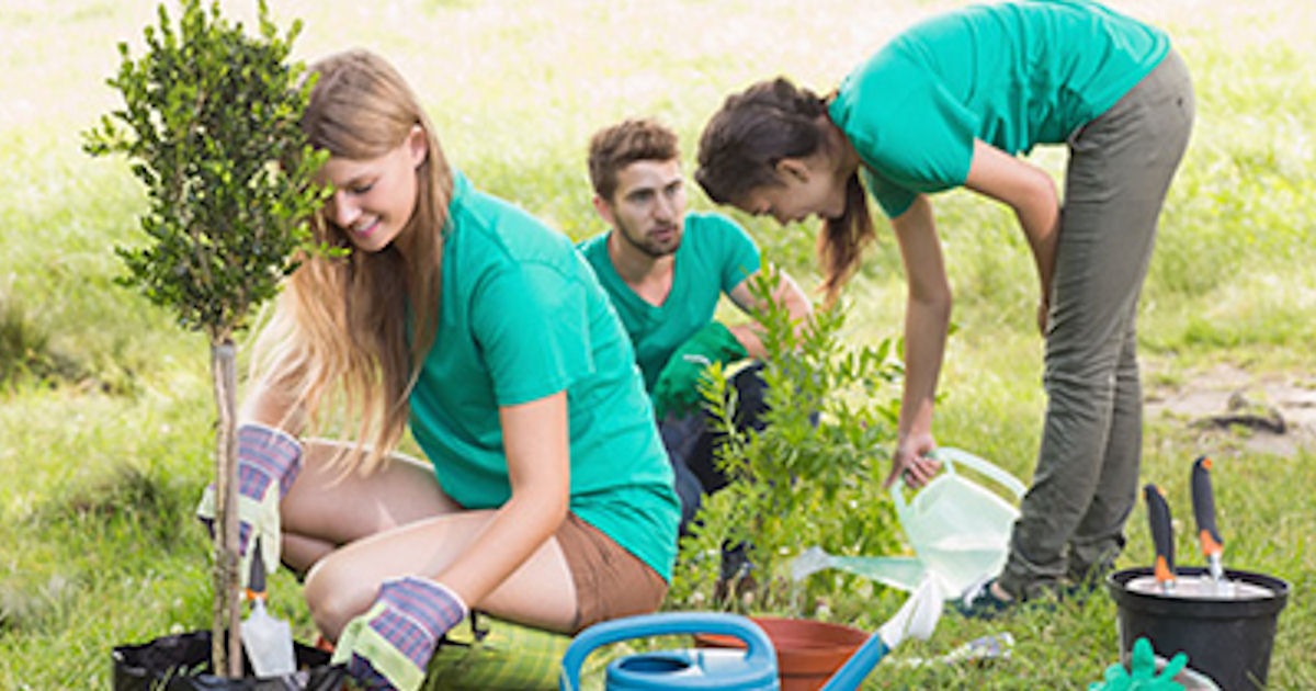 FREE Native Tree Seedlings for...