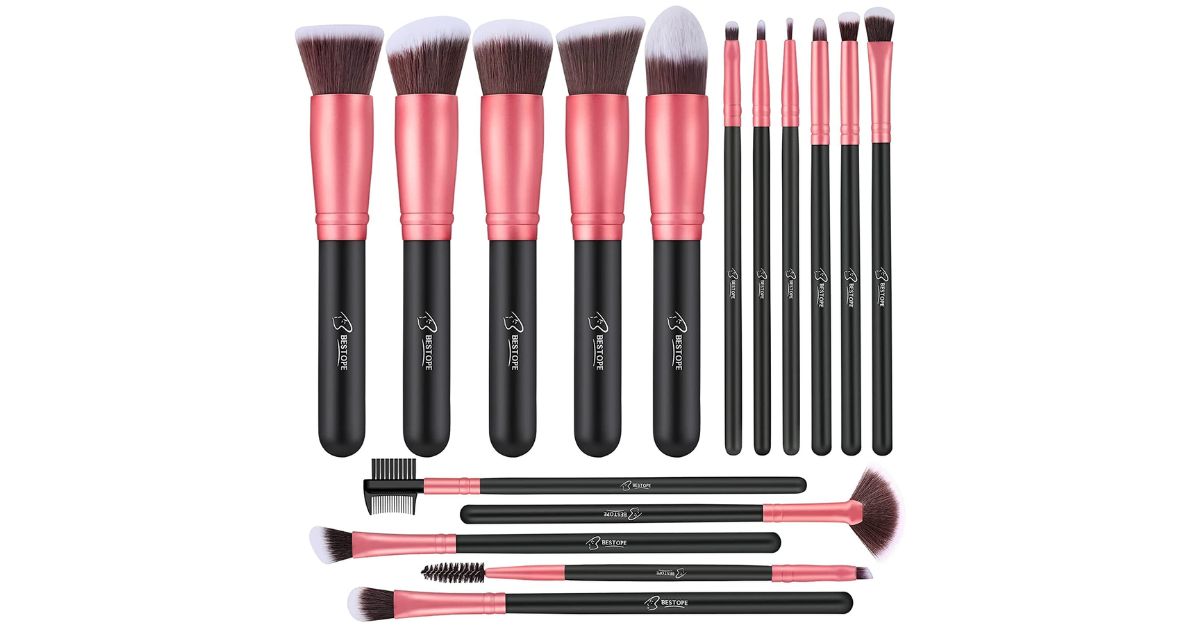 Makeup Brushes Premium 12-Piece Set ONLY $5.99 on Amazon