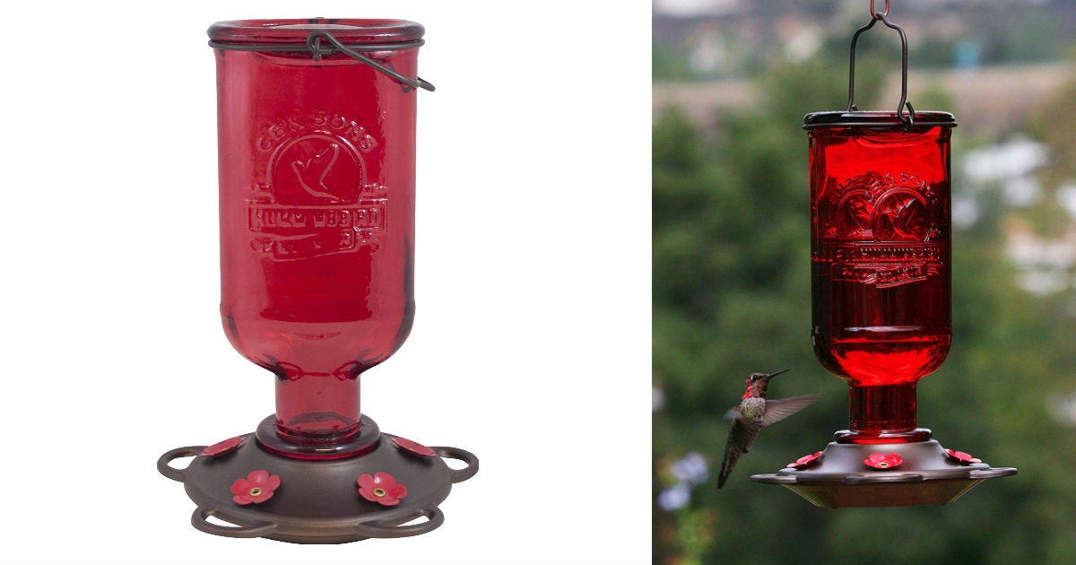 Glass Hummingbird Feeder ONLY 8.32 (Reg. $20)