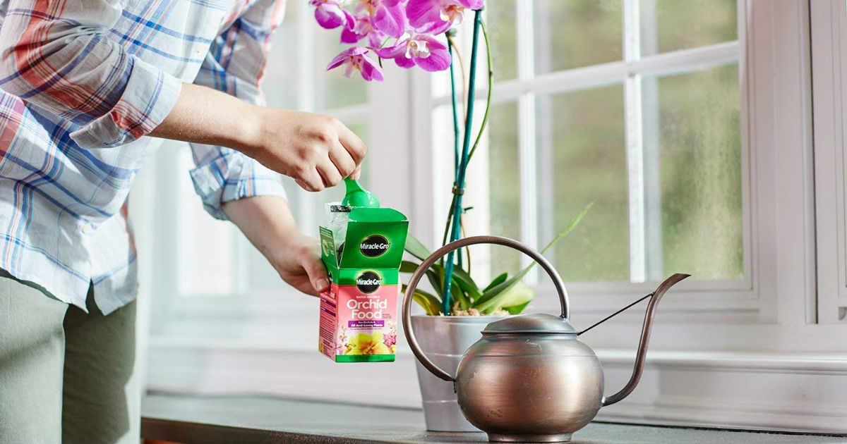 Miracle-Grow Orchid Food ONLY $3.59 on Amazon (Reg. $11.44)