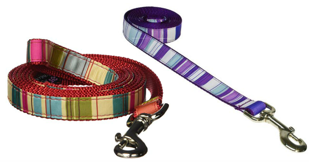 Sassy Dog Wear Stripe Leash ONLY $4.06 (Reg. $12)